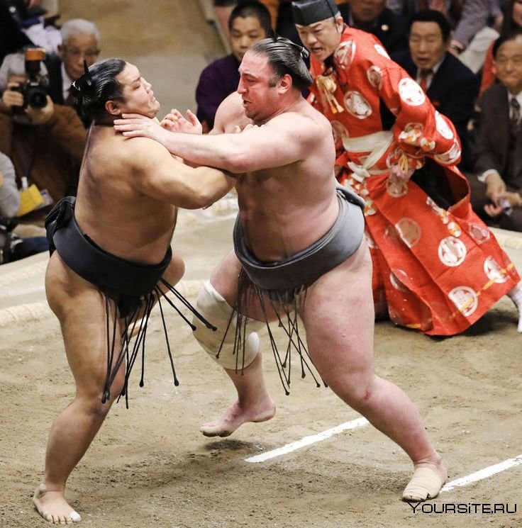 Япония бойцы бойцы сумо