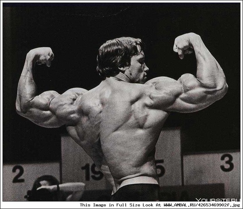 Арнольд Шварценеггер Олимпия 1975