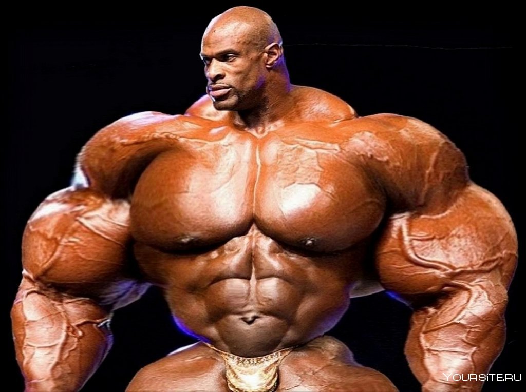 Декстер Джексон синтол