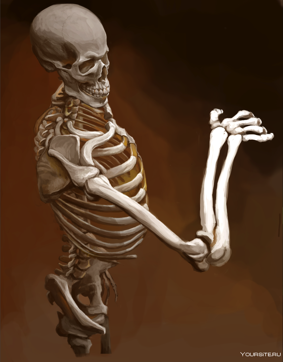 Страдающий скелет. Скелет. Скелет человека. Накаченный скелет.