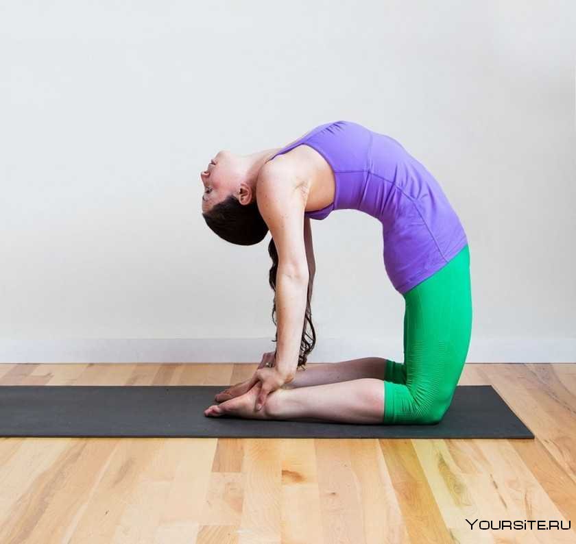 Хатха-йога для спины и позвоночника