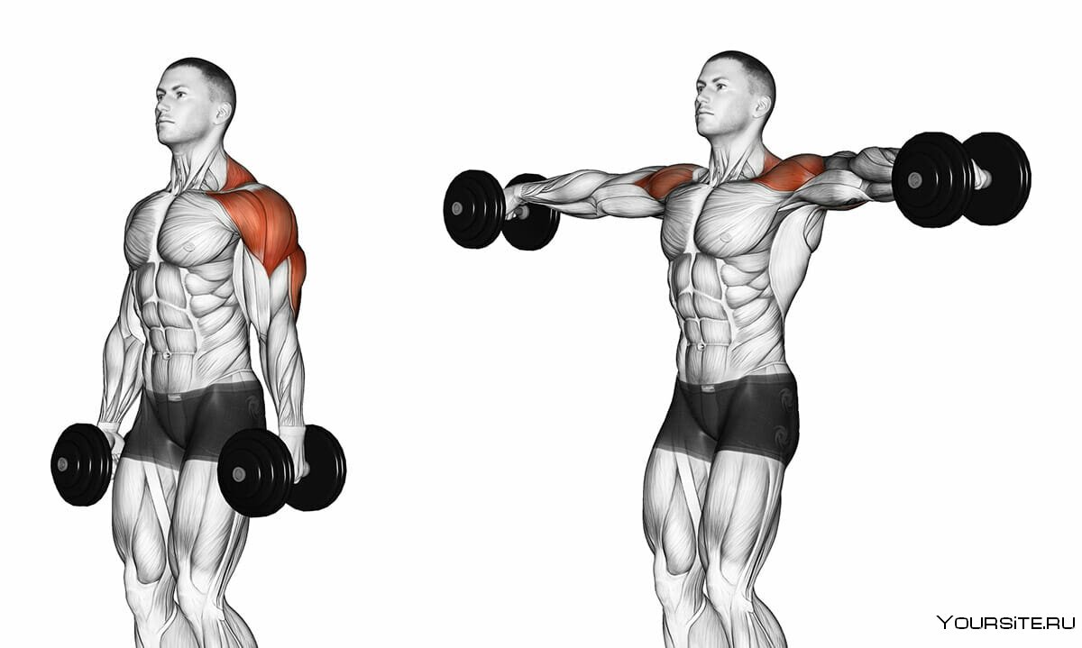 Incline Dumbbell Curl