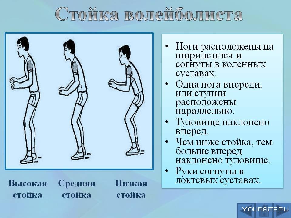 Правила игры в волейбол