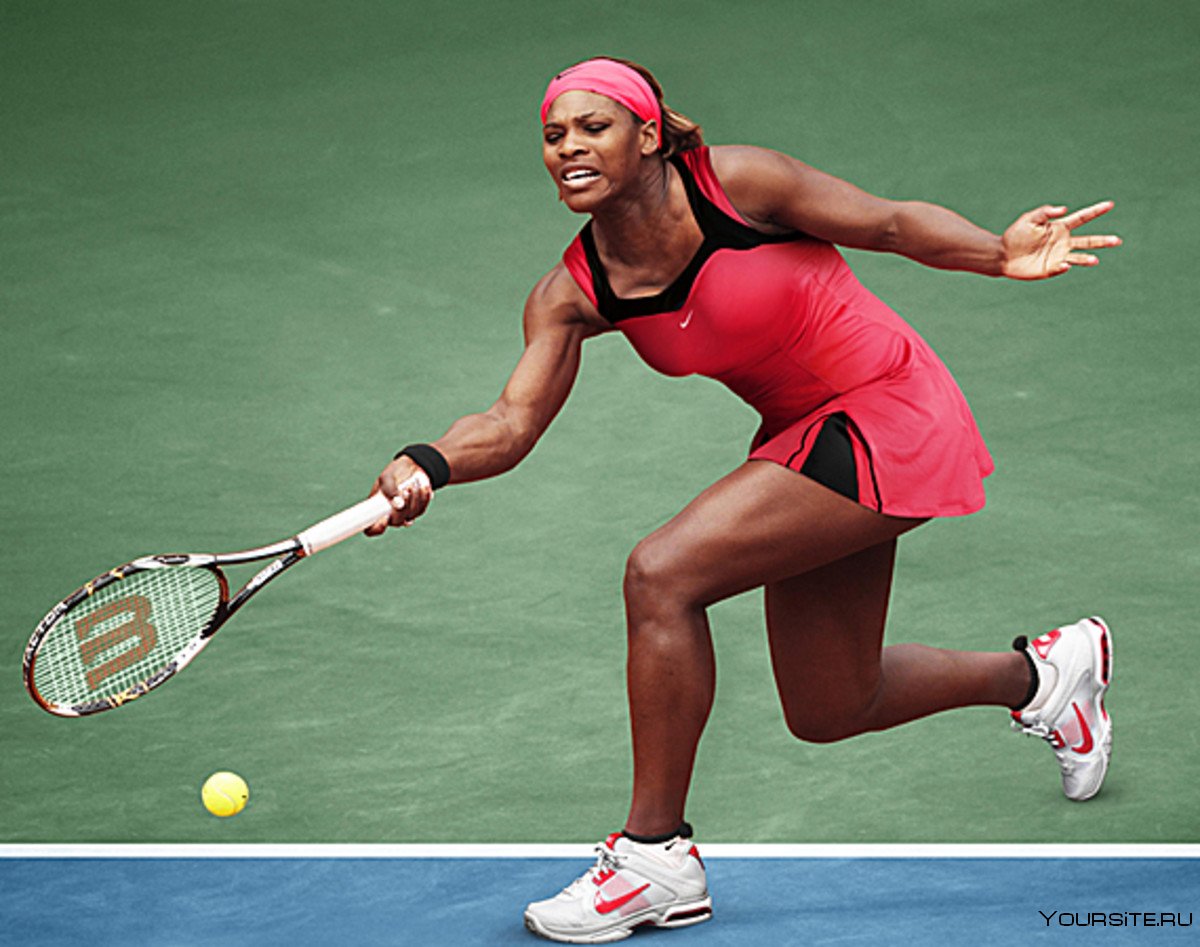 Serena 78. Серена Уильямс. Теннисистка Серена Уильямс. Большой теннис Серена Уильямс. Серена Уильямс теннисисты.
