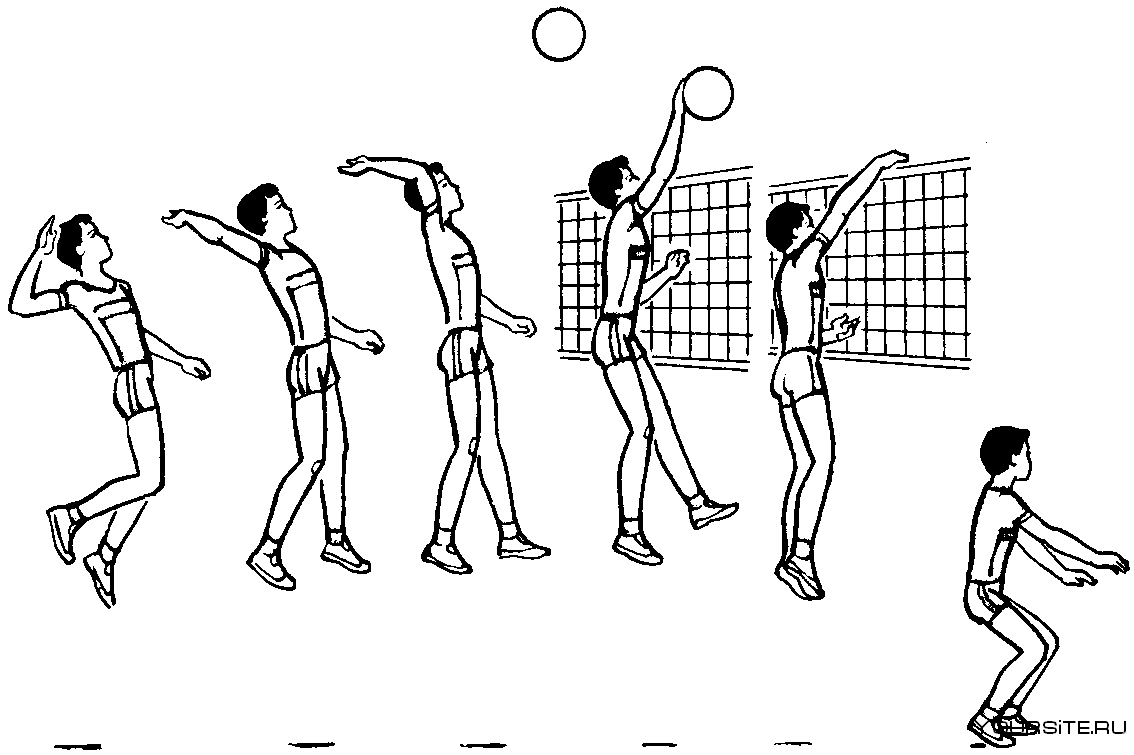 Техника нападающего удара в волейболе