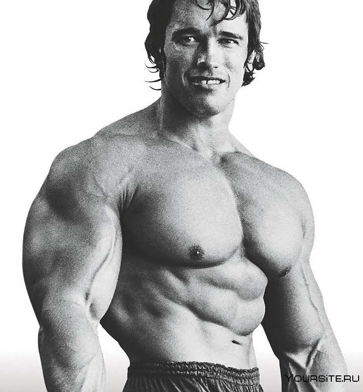 Arnold Schwarzenegger в старости