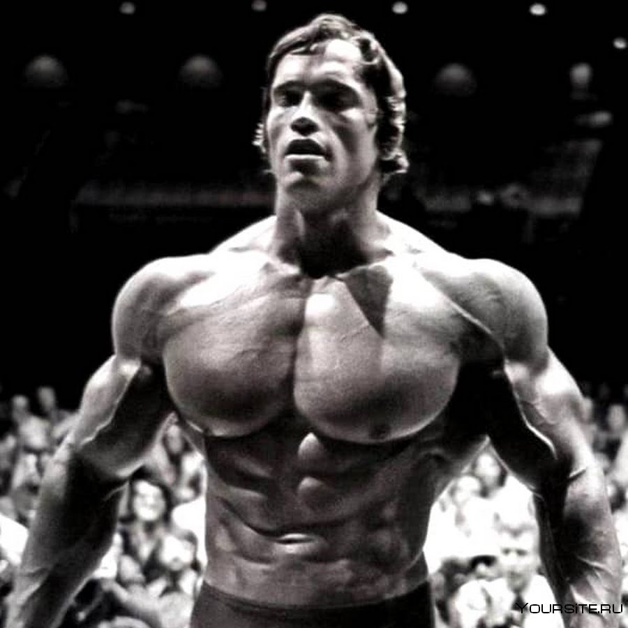 Шварценеггер Мистер Олимпия 1974