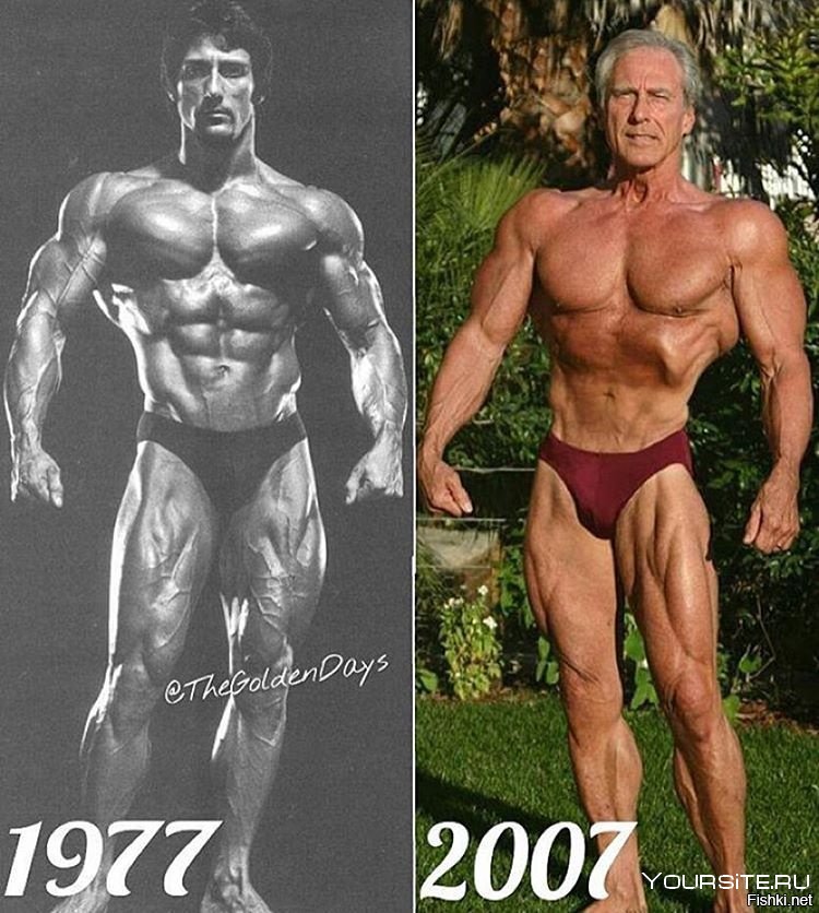 Фрэнк Зейн 2017