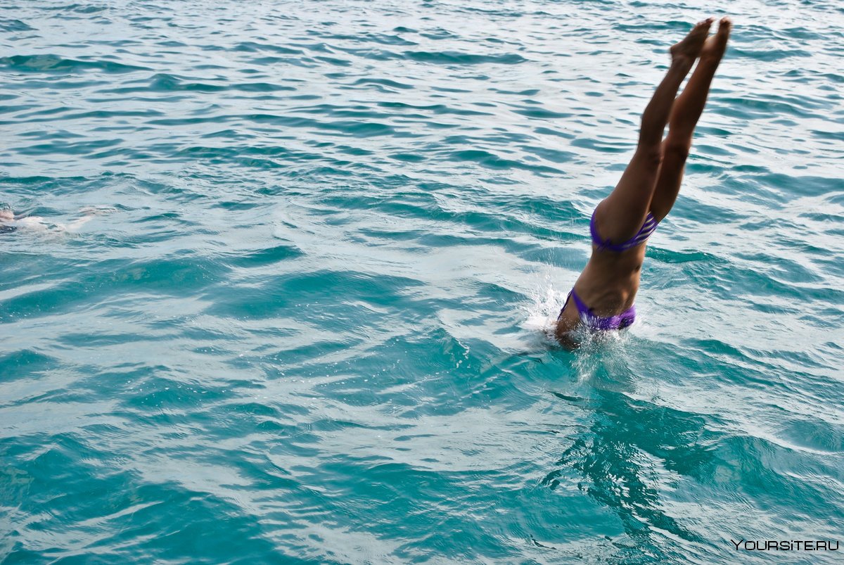 Спортсменки по прыжкам в воду