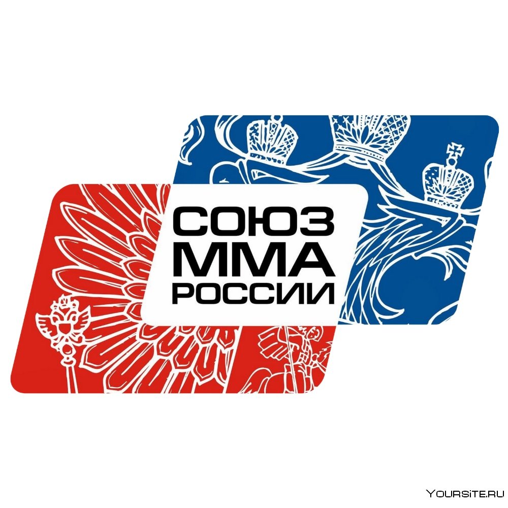 Логотип ММА России