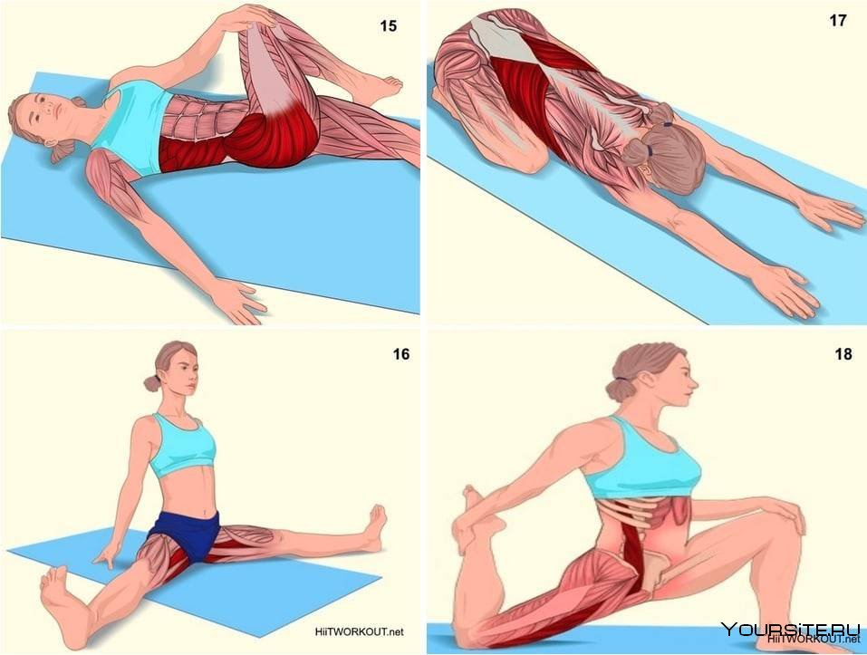 Растяжка трапеции упражнения для спины