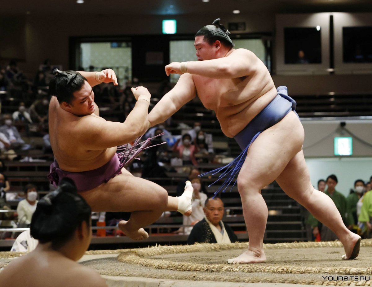 Битва сумо Япония