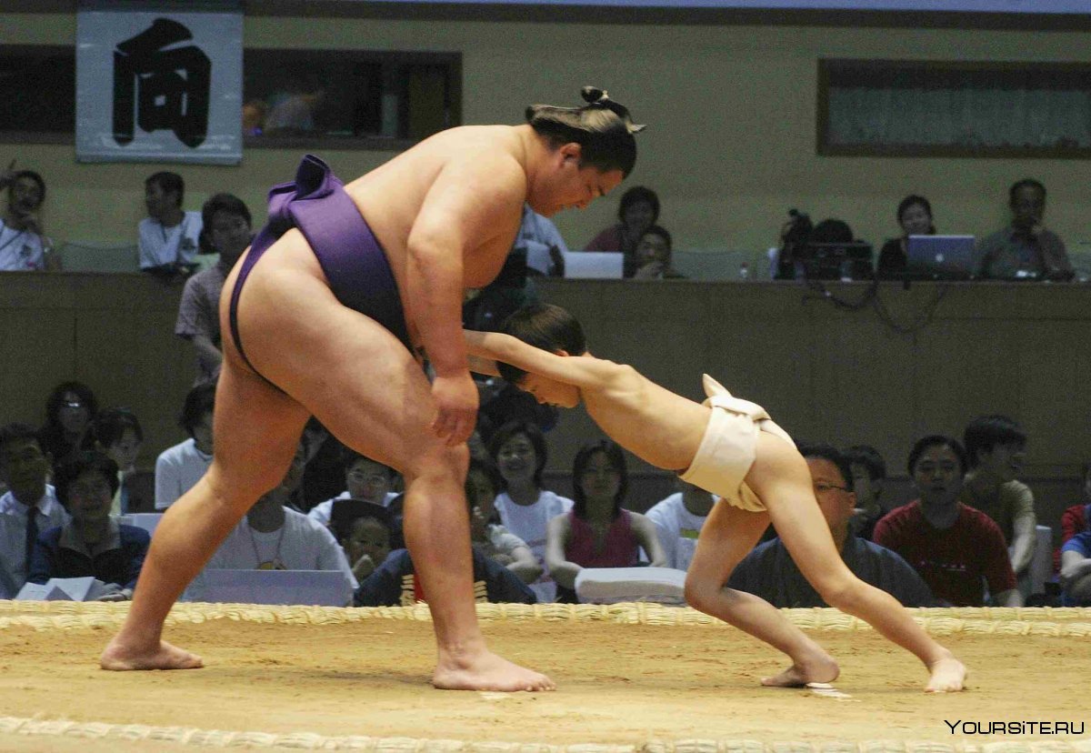 Чемпионы сумо в Японии