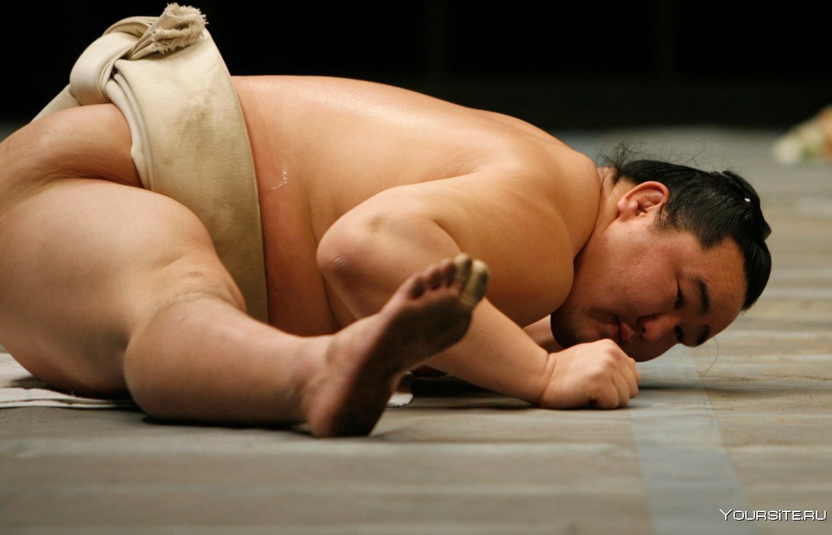 Японские мужские пояса для сумо