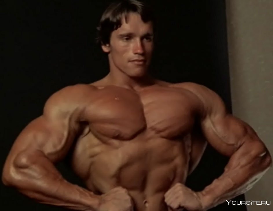 Арнольд Шварценеггер бодибилдер фото