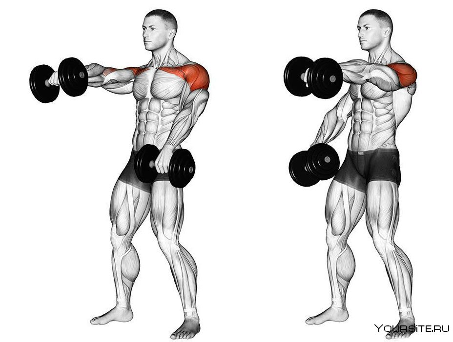 Упражнения на мышцы плеч