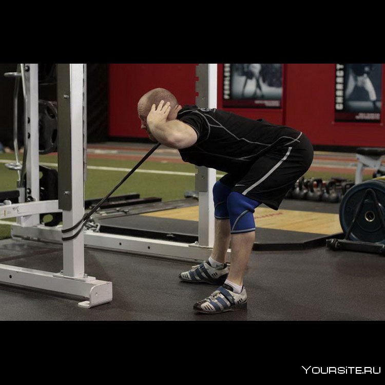 Наклоны вперед со штангой
