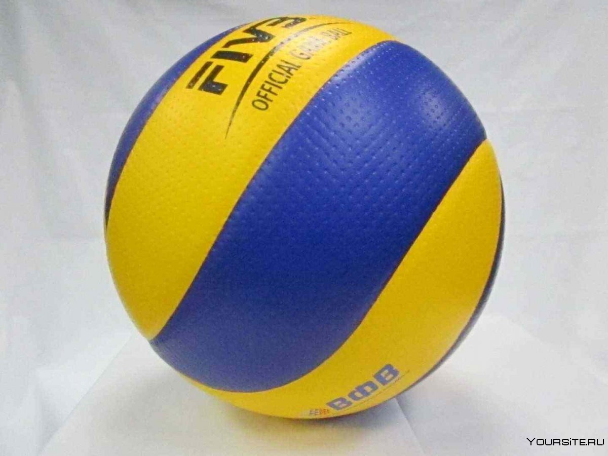 Волейбольный мяч Mikasa v200