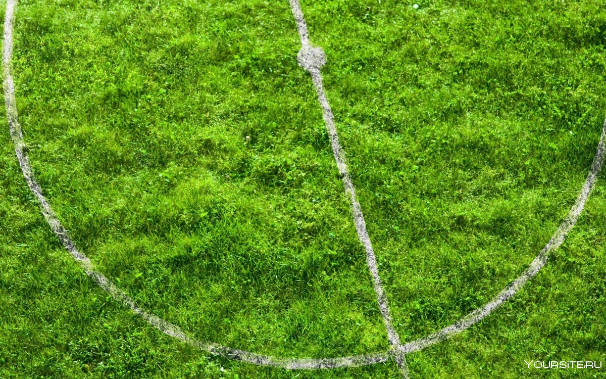 Футбольное поле трава