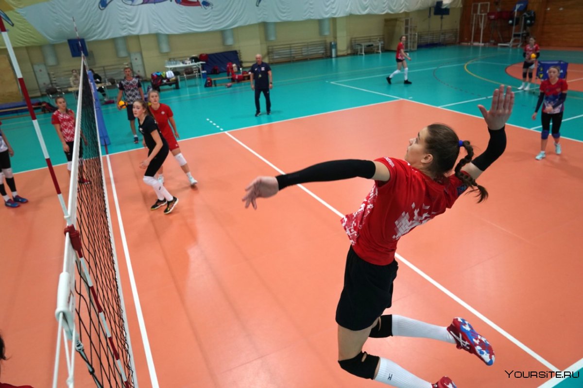 Алина Попова волейбол