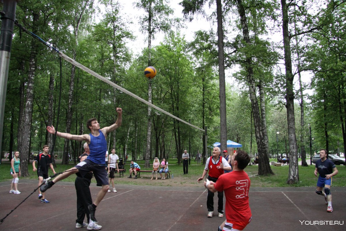 Парк Горького волейбольная площадка