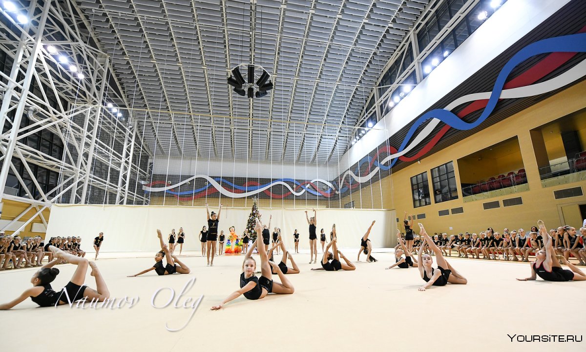 Художественная гимнастика школы Омск