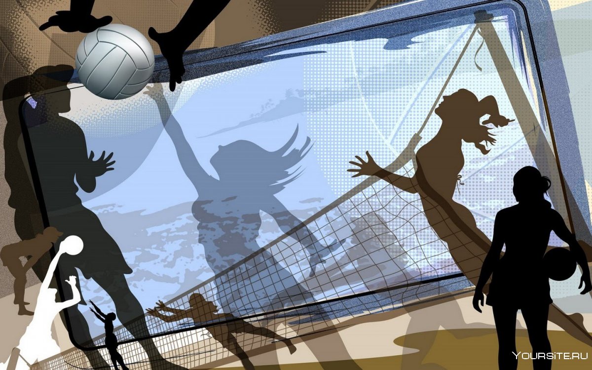 Волейбол сетка и мяч