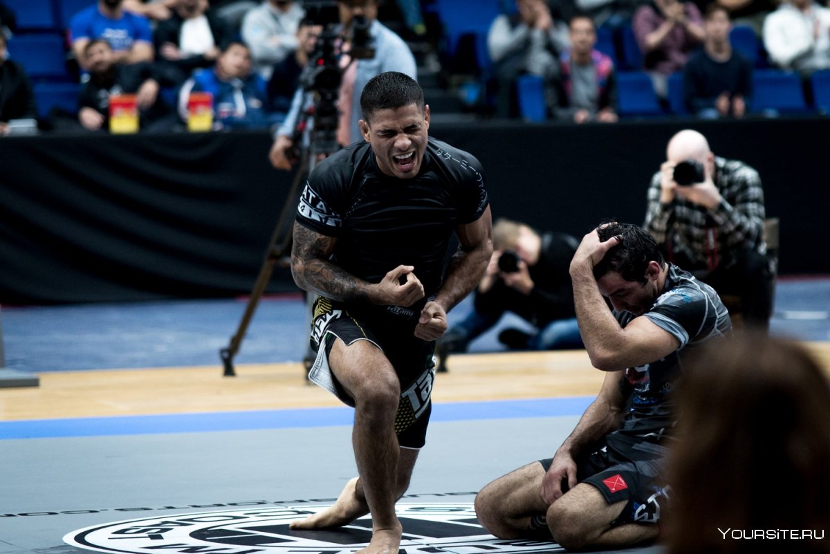 ADCC грэпплинг