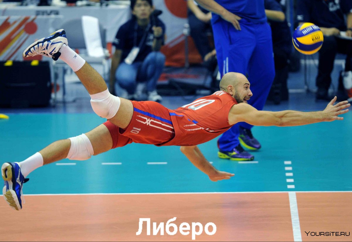 Павлюк Олег Иванович волейбол