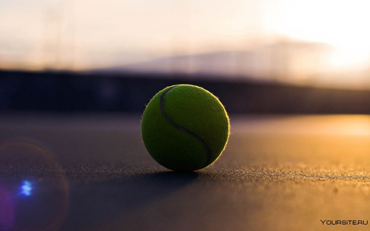 Стол теннисный мячик теннис