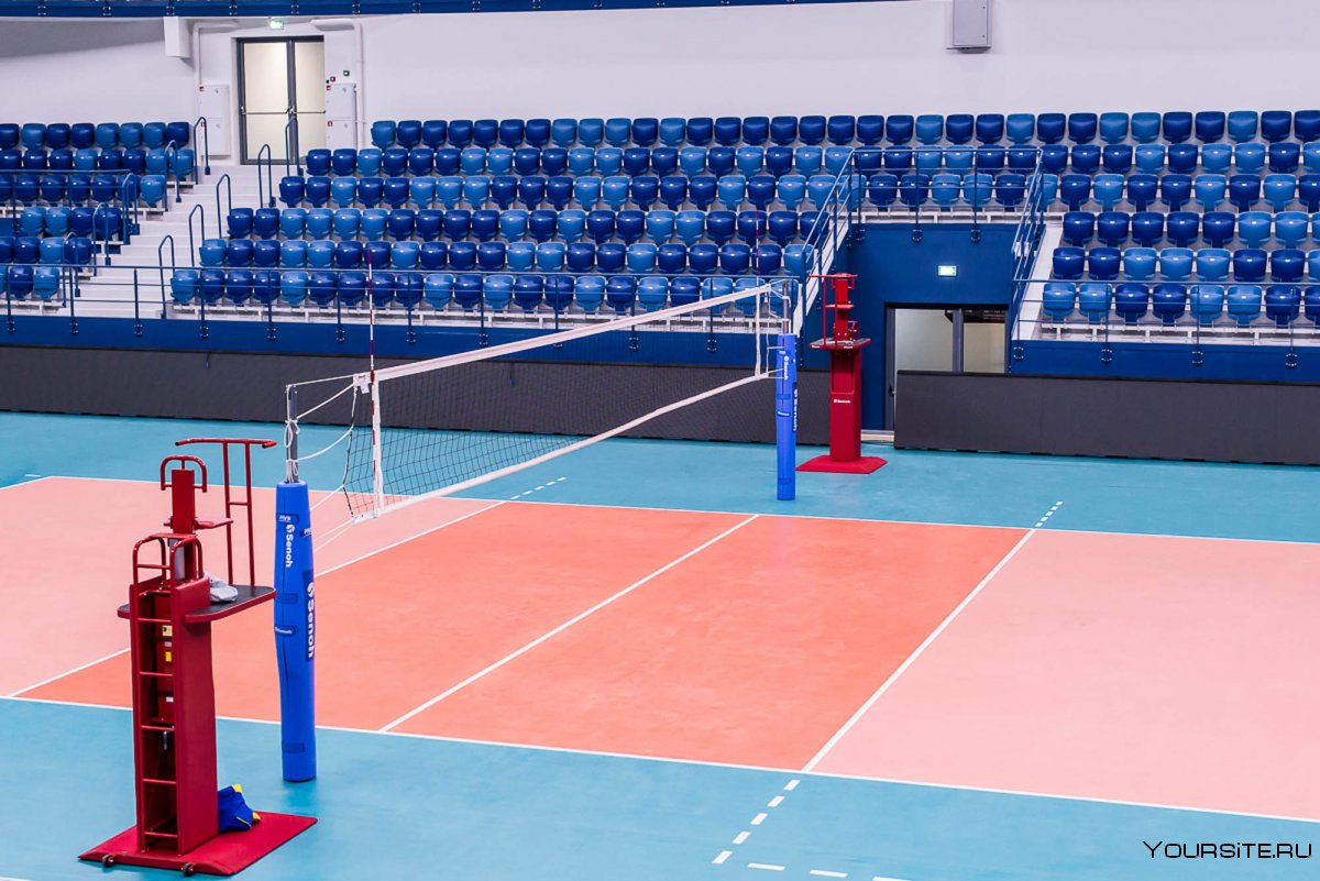 Динамо волейбол Арена Кожиной