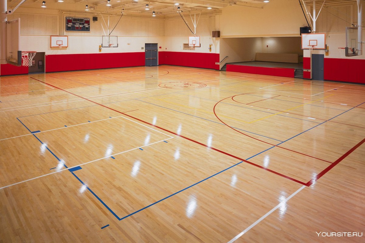 Баскетбольная площадка в зале
