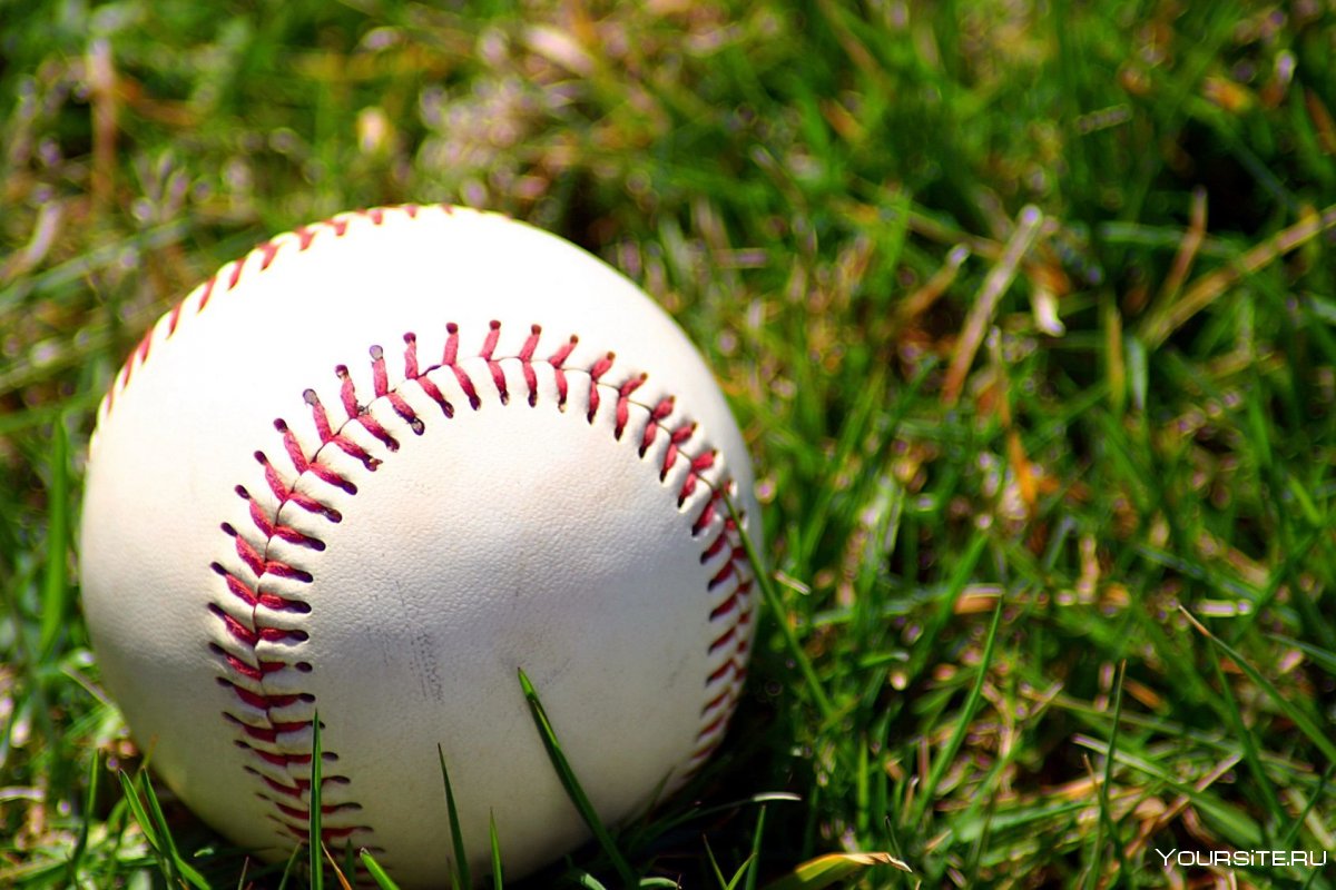 Мяч для игры в Бейсбол лежит на траве