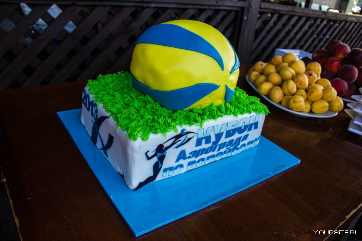 Торт в виде волейбола