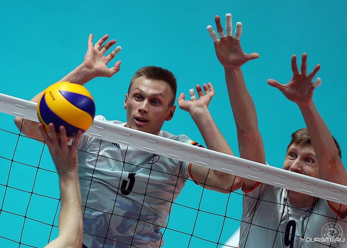 Ежов Алексей Игоревич волейбол