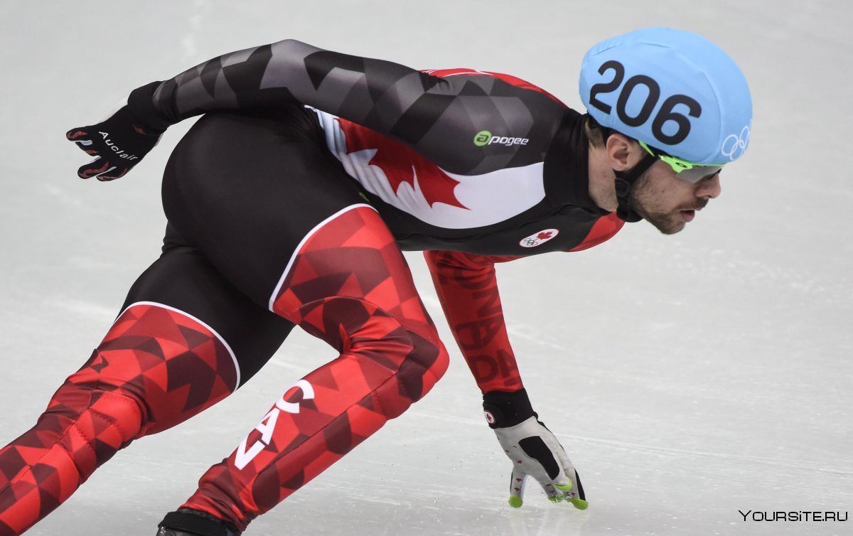 Зимние Олимпийские игры конькобежный спорт 2018