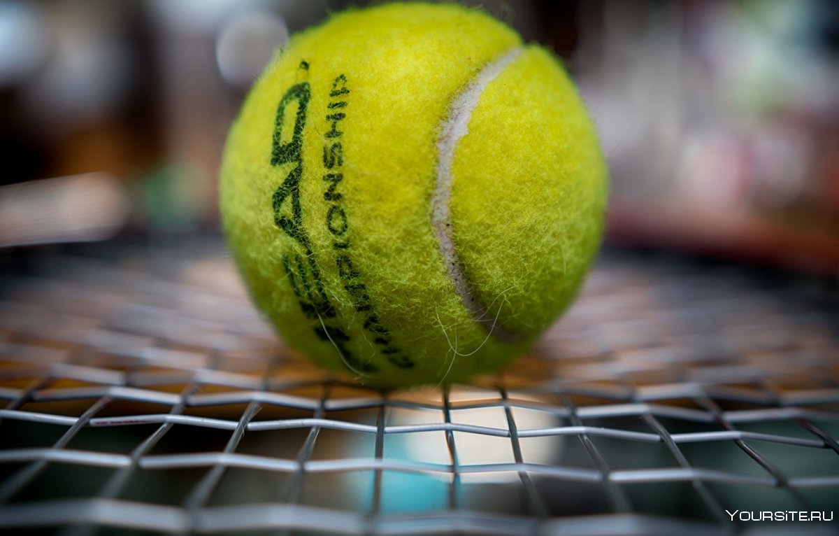 Зеленый мяч теннис
