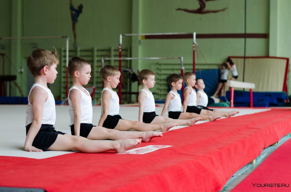 Спортивная гимнастика дети большие