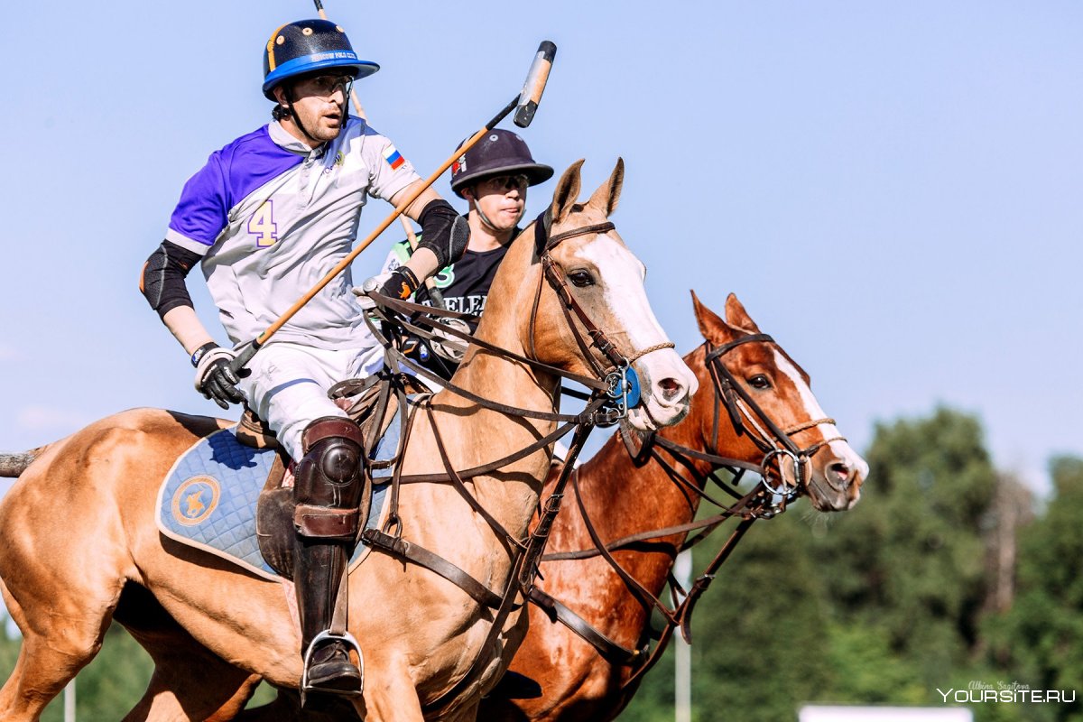 Polo игра