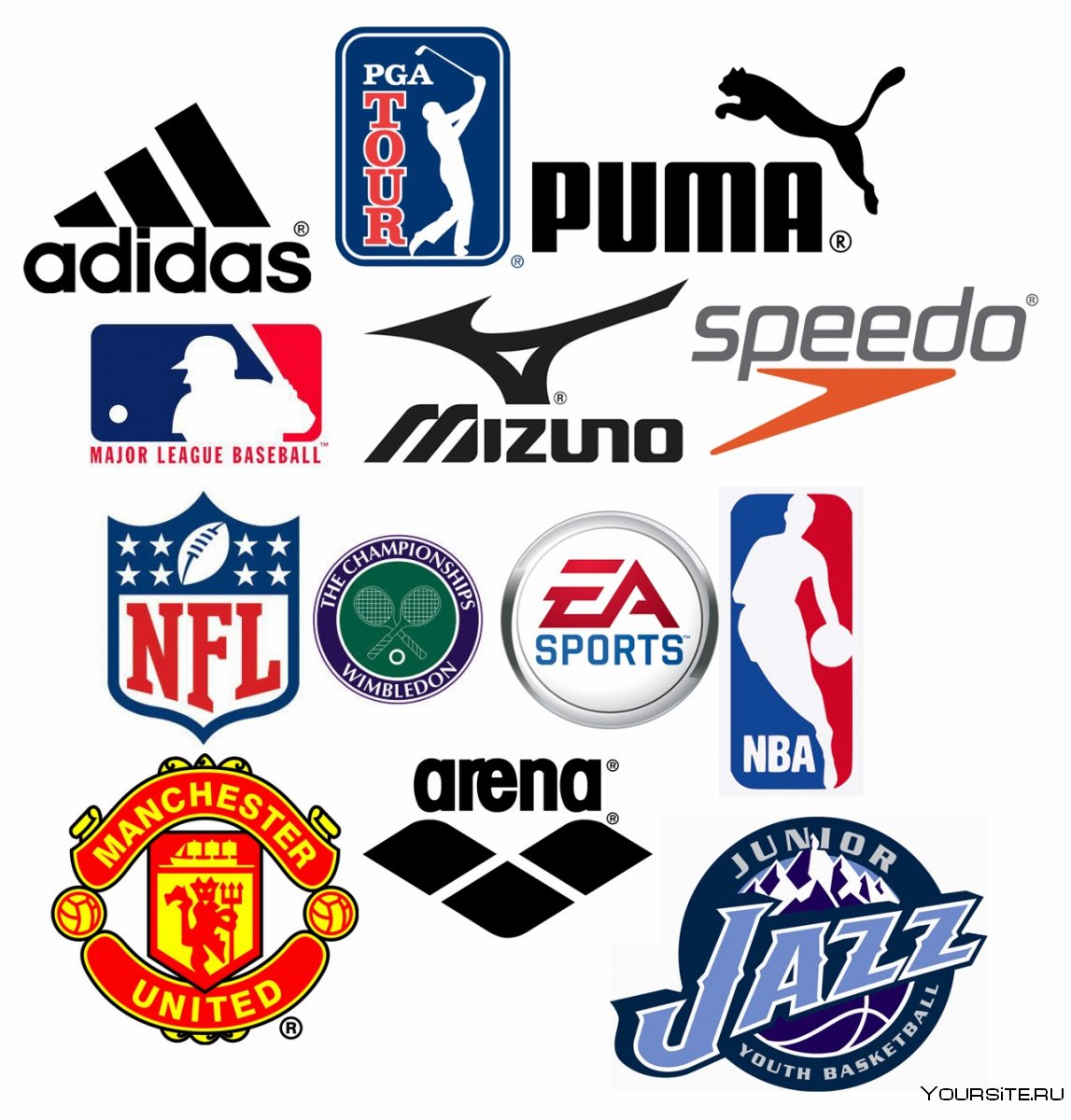 Логотипы спортивных организаций