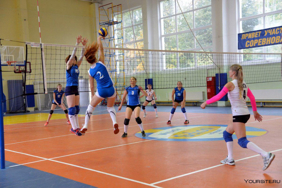 Волейбол Луч Сергиев Посад