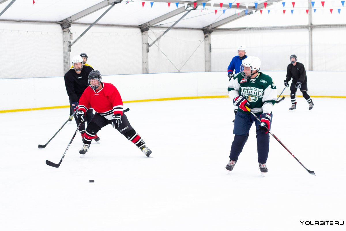 Тренировки по хоккею для начинающих взрослых