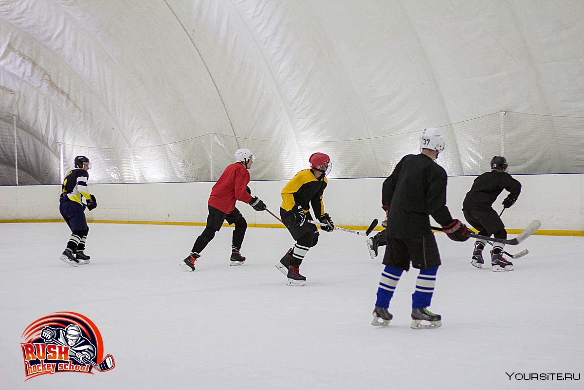 Тренировка взрослых хоккейных команд