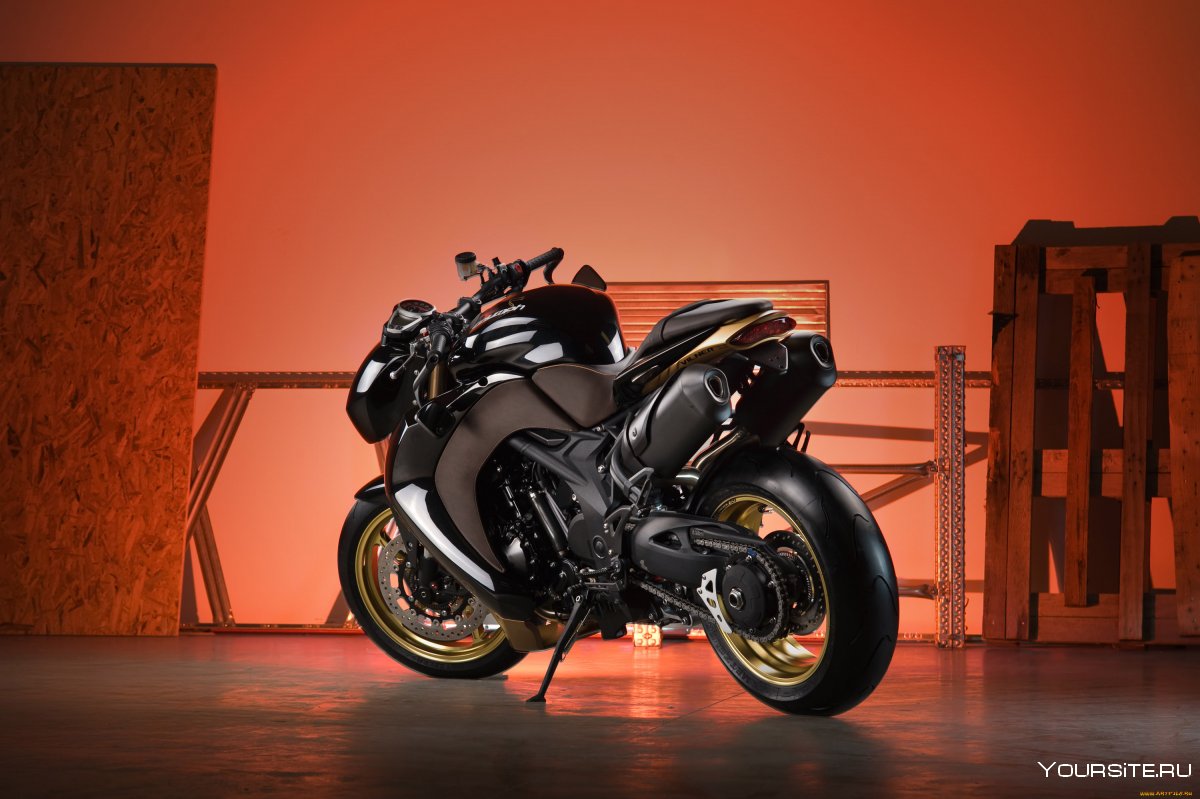 Triumph Speed Triple Bulldog