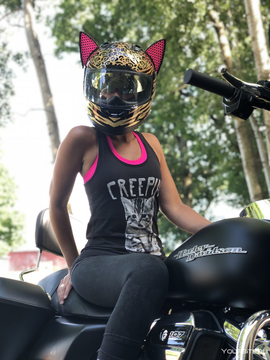 Кот в шлеме на мотоцикле