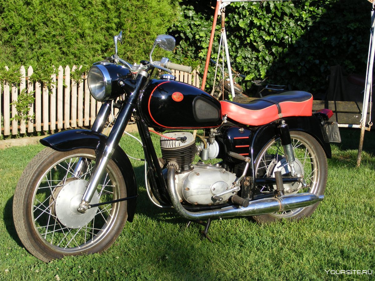 Pannonia 250 t1