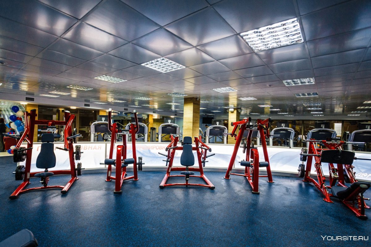 Iron Fitness Сергиев Посад