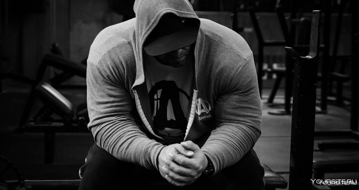 Боксер с закрытым лицом на обои для пацанов со спины