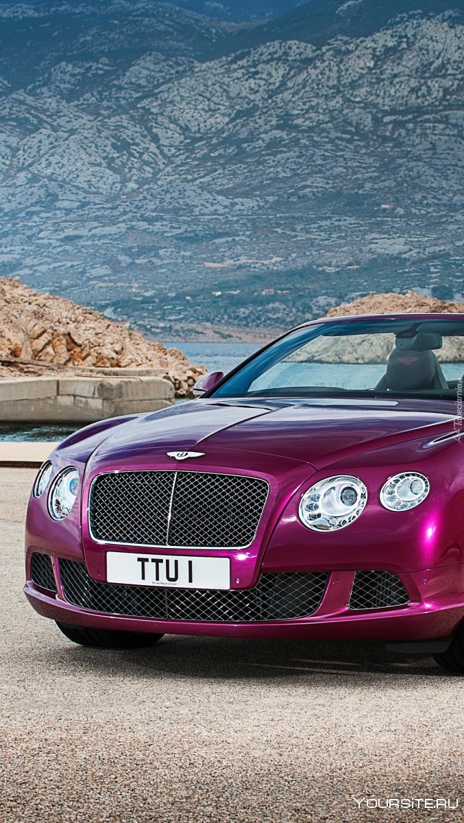 Bentley Continental gt 2002