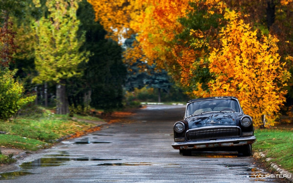 Машина осенью
